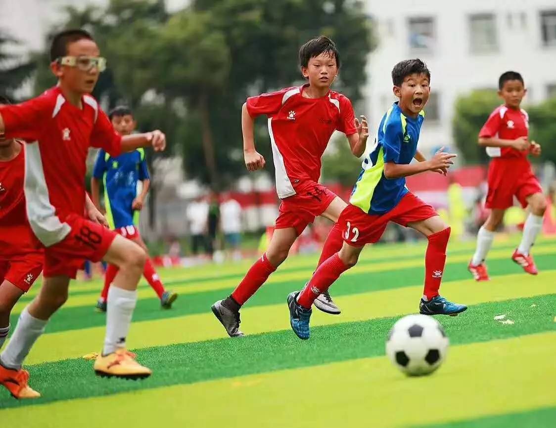 “苏迪曼杯”冠军、尤伯杯冠军、丹麦公开赛冠军…羽毛球国手郑雨的深圳情缘_深圳新闻网